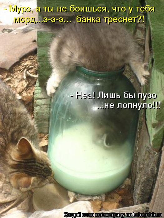 - Мурз, а ты не боишься, что у тебя морд...э-э-э... банка треснет?! - Неа! Лишь бы пузо ...не лопнул... Котоматрица: - Мурз, а ты не боишься, что у тебя морд...э-э-э... банка треснет?! - Неа! Лишь бы пузо ...не лопнуло!!!