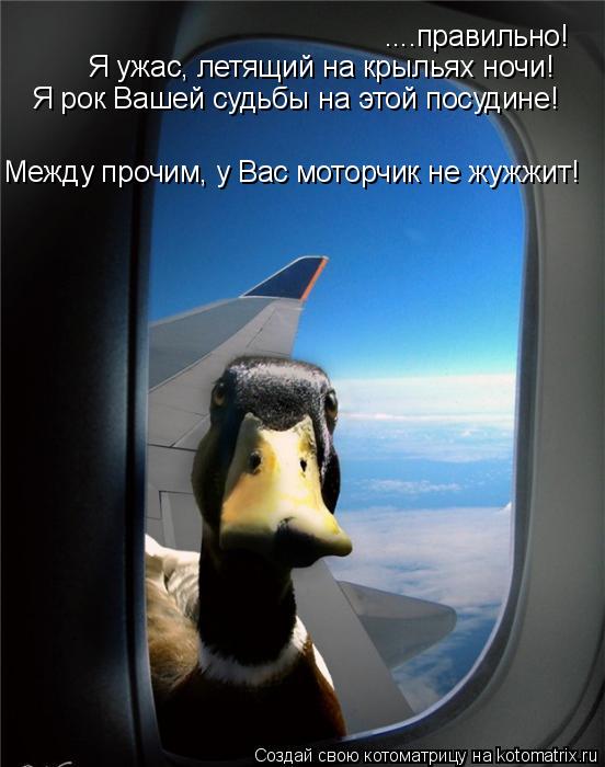 ....правильно! Я ужас, летящий на крыльях ночи! Я рок Вашей судьбы на этой посудине! Между прочим, у ... Котоматрица: ....правильно! Я ужас, летящий на крыльях ночи! Я рок Вашей судьбы на этой посудине! Между прочим, у Вас моторчик не жужжит!