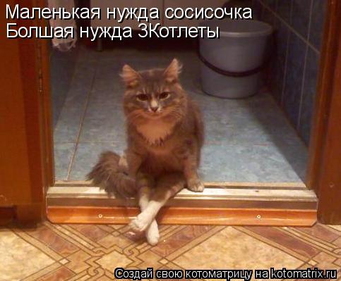 Маленькая нужда сосисочка Болшая нужда 3Котлеты... Котоматрица: Маленькая нужда сосисочка Болшая нужда 3Котлеты