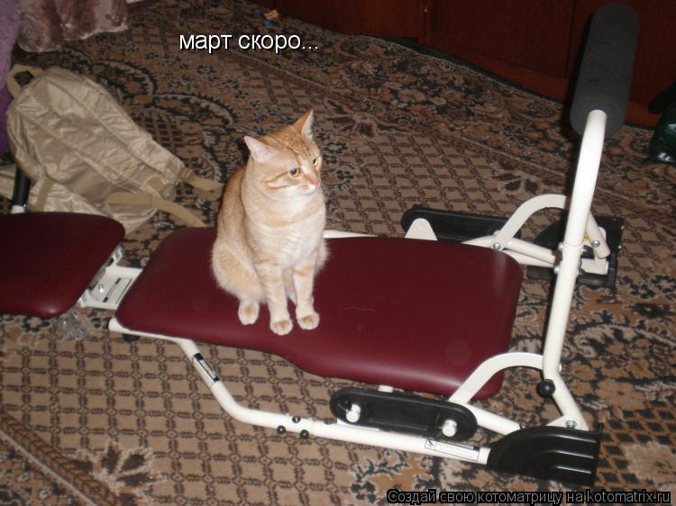 март скоро...... Котоматрица: март скоро...