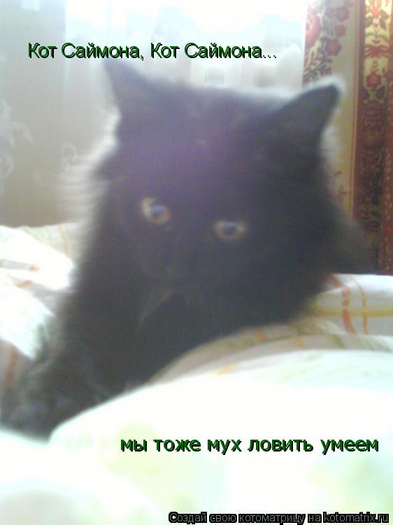 Кот Саймона, Кот Саймона... мы тоже мух ловить умеем... Котоматрица: Кот Саймона, Кот Саймона... мы тоже мух ловить умеем