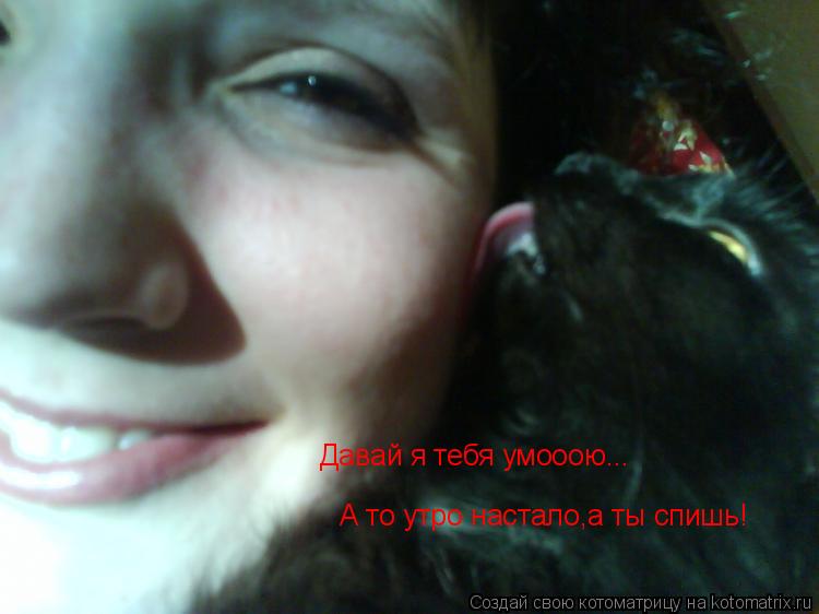 Давай я тебя умооою... А то утро настало,а ты спишь!... Котоматрица: Давай я тебя умооою... А то утро настало,а ты спишь!