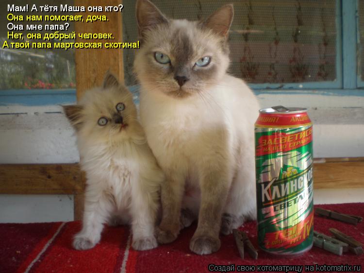 Мам! А тётя Маша она кто? Она нам помогает, доча. Она мне папа? Нет, она добрый человек. А твой папа ... Котоматрица: Мам! А тётя Маша она кто? Она нам помогает, доча. Она мне папа? Нет, она добрый человек. А твой папа мартовская скотина!