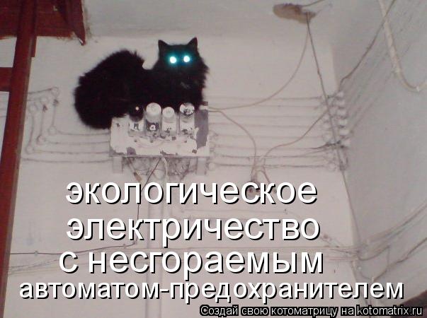 экологическое электричество с несгораемым автоматом-предохранителем... Котоматрица: экологическое электричество с несгораемым автоматом-предохранителем