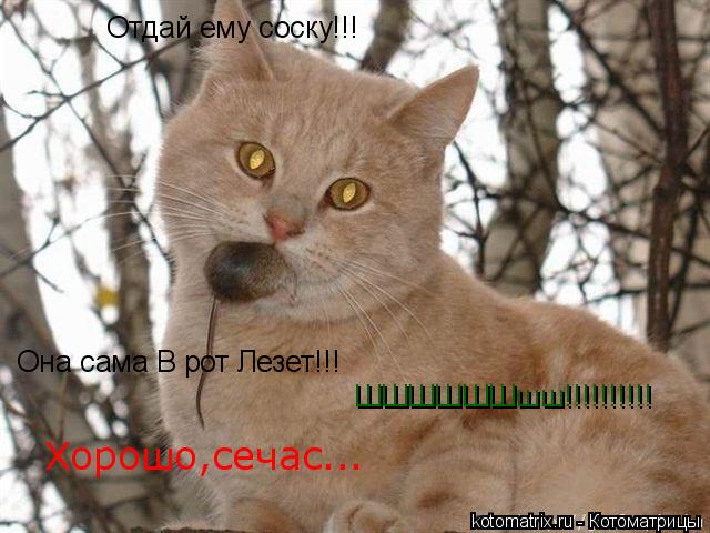Отдай ему соску!!! Она сама В рот Лезет!!! ШШШШШШшш!!!!!!!!!! Хорошо,сечас...... Котоматрица: Отдай ему соску!!! Она сама В рот Лезет!!! ШШШШШШшш!!!!!!!!!! Хорошо,сечас...