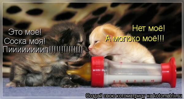 Это моё! Нет моё! Соска моя! А молоко моё!!! Пиииииииип!!!!!!!!!!!!!!... Котоматрица: Это моё! Нет моё! Соска моя! А молоко моё!!! Пиииииииип!!!!!!!!!!!!!!