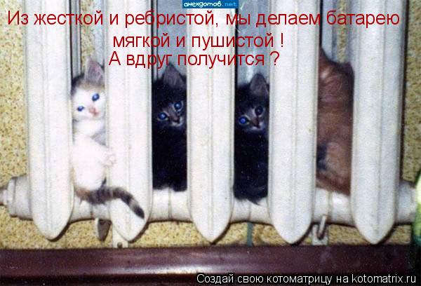 Из жесткой и ребристой, мы делаем батарею мягкой и пушистой ! А вдруг получится ?... Котоматрица: Из жесткой и ребристой, мы делаем батарею мягкой и пушистой ! А вдруг получится ?