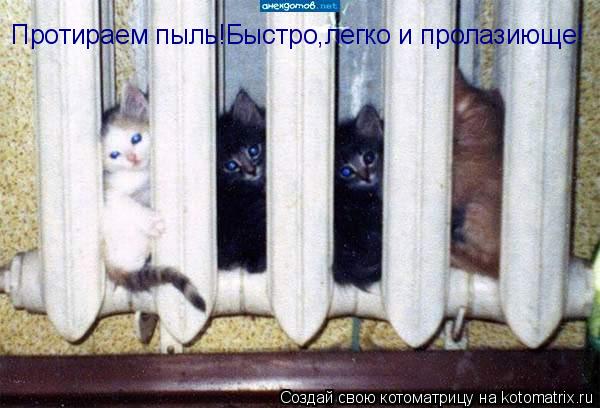 Протираем пыль!Быстро,легко и пролазиюще!... Котоматрица: Протираем пыль!Быстро,легко и пролазиюще!