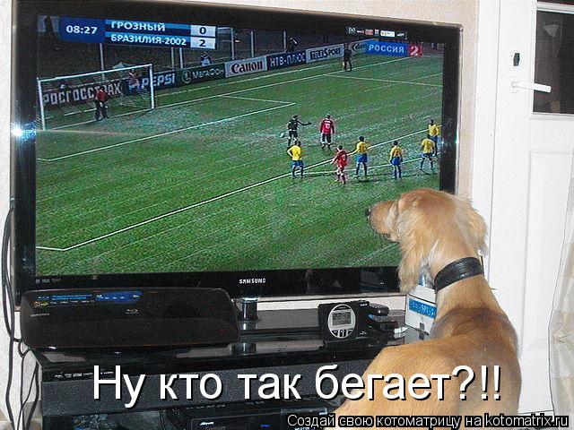 Ну кто так бегает?!!... Котоматрица: Ну кто так бегает?!!