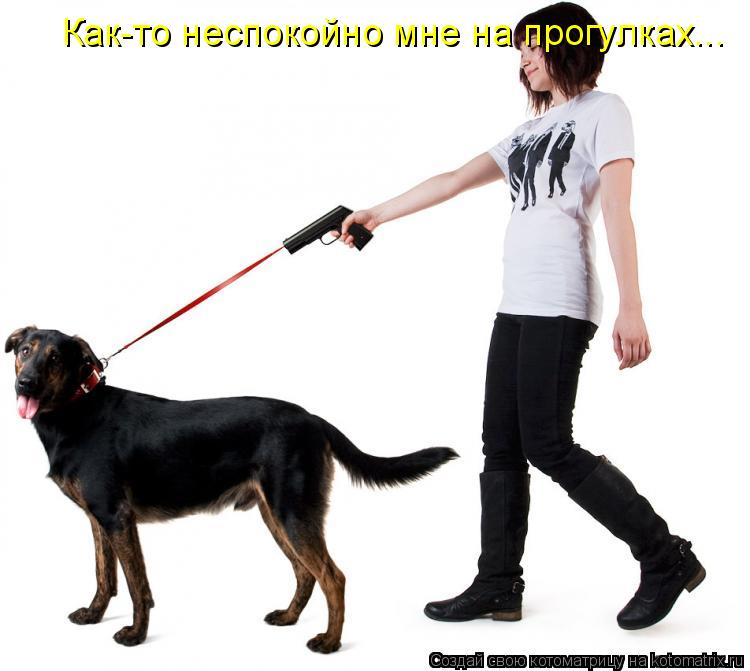 Как-то неспокойно мне на прогулках...... Котоматрица: Как-то неспокойно мне на прогулках...