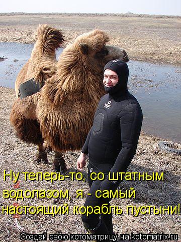 Ну теперь-то, со штатным водолазом, я - самый настоящий корабль пустыни!... Котоматрица: Ну теперь-то, со штатным водолазом, я - самый настоящий корабль пустыни!