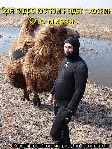 Зря гидрокостюм надел, хозяин. Это мираж.... Котоматрица: Зря гидрокостюм надел, хозяин. Это мираж.