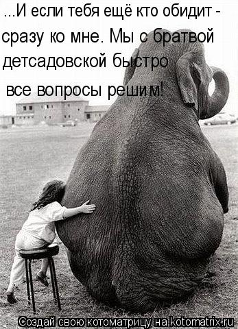 ...И если тебя ещё кто обидит - сразу ко мне. Мы с братвой детсадовской быстро все вопросы решим!... Котоматрица: ...И если тебя ещё кто обидит - сразу ко мне. Мы с братвой детсадовской быстро все вопросы решим!