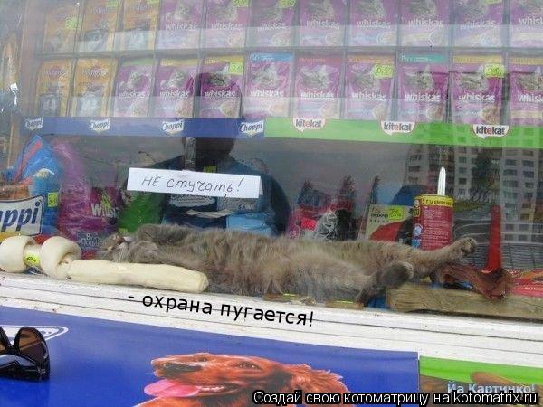 - охрана пугается!... Котоматрица: - охрана пугается!