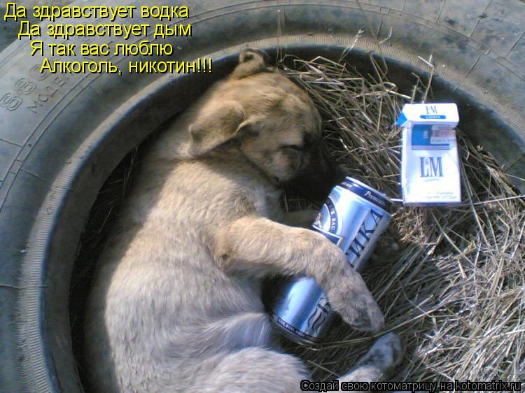 Да здравствует водка Да здравствует дым Я так вас люблю Алкоголь, никотин!!!... Котоматрица: Да здравствует водка Да здравствует дым Я так вас люблю Алкоголь, никотин!!!