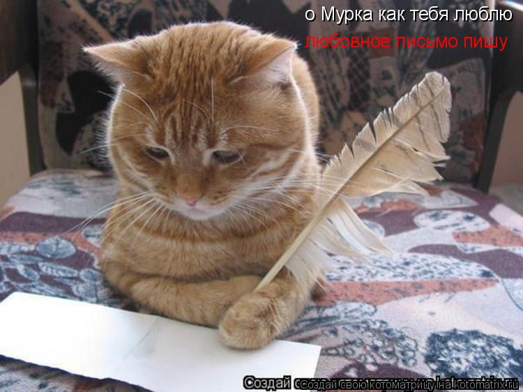о Мурка как тебя люблю любовное письмо пишу о Мурка как тебя люблю... Котоматрица: о Мурка как тебя люблю любовное письмо пишу о Мурка как тебя люблю