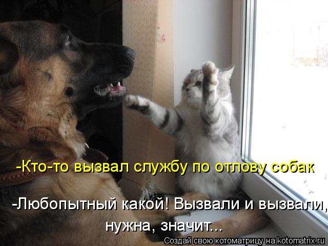 -Кто-то вызвал службу по отлову собак -Любопытный какой! Вызвали и вызвали, нужна, значит...... Котоматрица: -Кто-то вызвал службу по отлову собак -Любопытный какой! Вызвали и вызвали, нужна, значит...