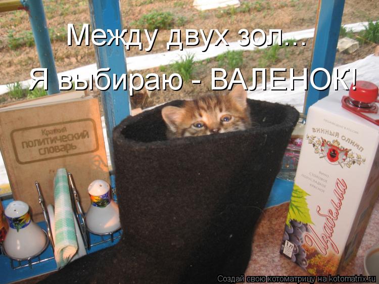 Я выбираю - ВАЛЕНОК! Между двух зол...... Котоматрица: Я выбираю - ВАЛЕНОК! Между двух зол...