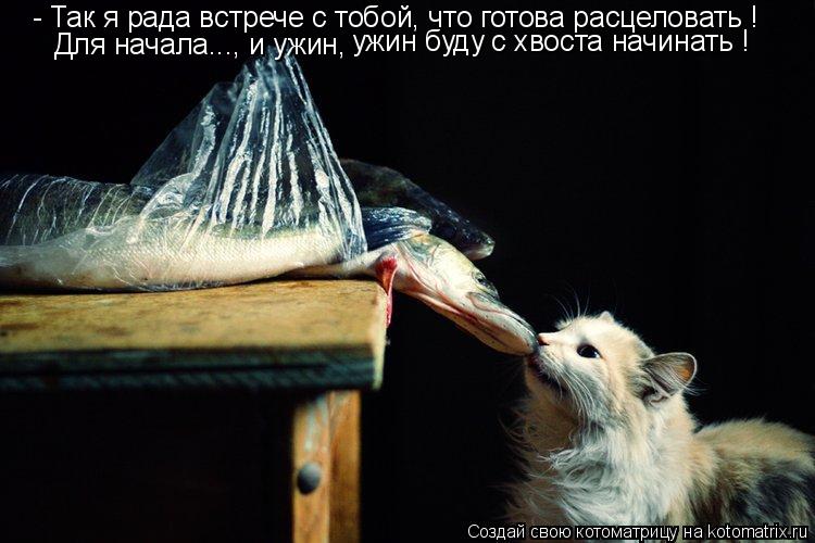 - Так я рада встрече с тобой, что готова расцеловать ! Для начала..., и ужин, ужин буду с хвоста начи... Котоматрица: - Так я рада встрече с тобой, что готова расцеловать ! Для начала..., и ужин, ужин буду с хвоста начинать !