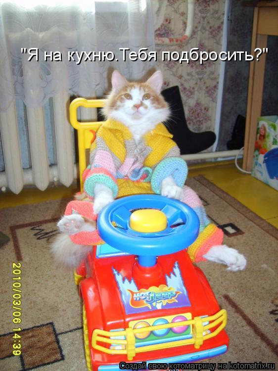 "Я на кухню.Тебя подбросить?"... Котоматрица: "Я на кухню.Тебя подбросить?"