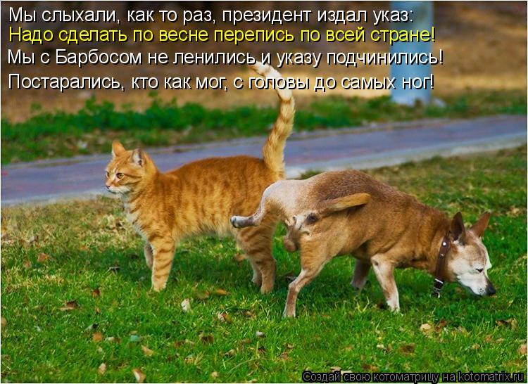 Мы слыхали, как то раз, президент издал указ: Надо сделать по весне перепись по всей стране! Мы с Б... Котоматрица: Мы слыхали, как то раз, президент издал указ: Надо сделать по весне перепись по всей стране! Мы с Барбосом не ленились и указу подчинились! П
