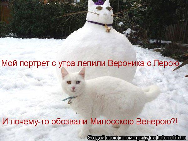 Котоматрица: Мой портрет с утра лепили Вероника с Лерою И почему-то обозвали Милосскою Венерою?!