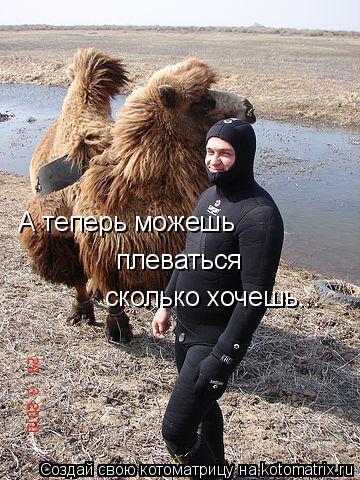 А теперь можешь плеваться сколько хочешь...... Котоматрица: А теперь можешь плеваться сколько хочешь...