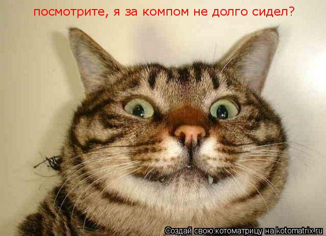 Котоматрица: посмотрите, я за компом не долго сидел?
