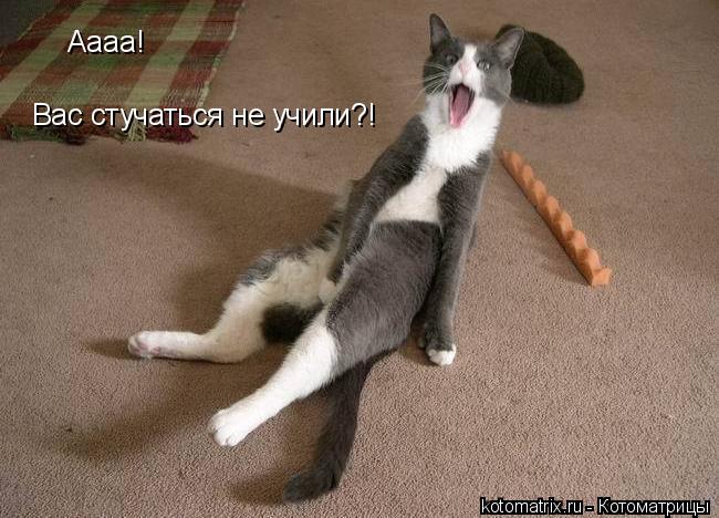 Котоматрица: Аааа! Вас стучаться не учили?!
