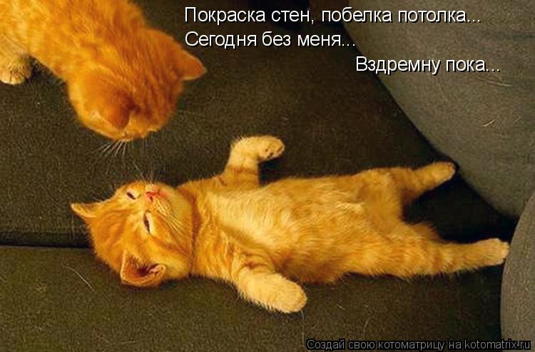 Котоматрица: Покраска стен, побелка потолка... Сегодня без меня... Вздремну пока...