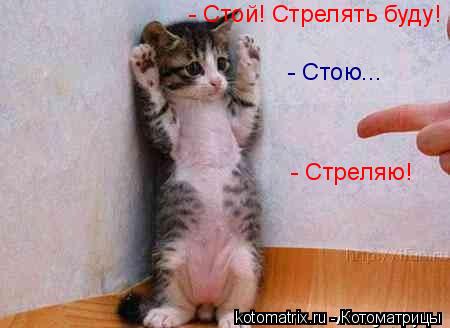 - Стою... - Стреляю! - Стой! Стрелять буду!... Котоматрица: - Стою... - Стреляю! - Стой! Стрелять буду!