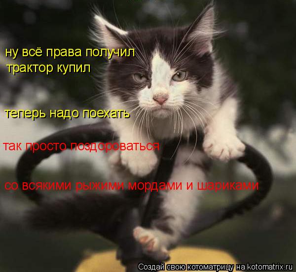 ну всё права получил трактор купил теперь надо поехать так просто поздороваться со всякими рыжими мо... Котоматрица: ну всё права получил трактор купил теперь надо поехать так просто поздороваться со всякими рыжими мордами и шариками