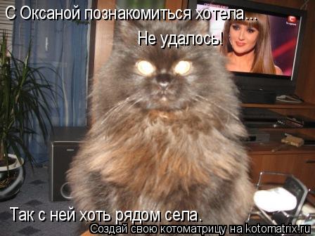 С Оксаной познакомиться хотела... Не удалось! Так с ней хоть рядом села.... Котоматрица: С Оксаной познакомиться хотела... Не удалось! Так с ней хоть рядом села.