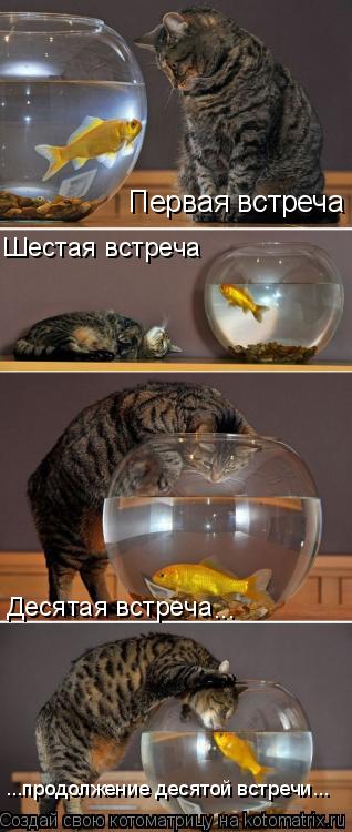 Первая встреча Шестая встреча Десятая встреча ... ...продолжение десятой встречи...... Котоматрица: Первая встреча Шестая встреча Десятая встреча ... ...продолжение десятой встречи...