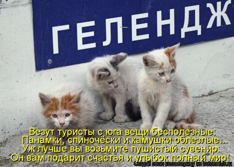 Котоматрица: Везут туристы с юга вещи бесполезные: Панамки, спиночёски и камушки облезлые... Уж лучше вы возьмите пушистый сувенир: Он вам подарит счасть