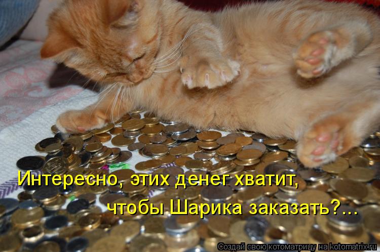 Интересно, этих денег хватит, чтобы Шарика заказать?...... Котоматрица: Интересно, этих денег хватит, чтобы Шарика заказать?...