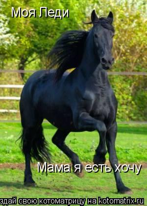 Моя Леди Мама я есть хочу... Котоматрица: Моя Леди Мама я есть хочу