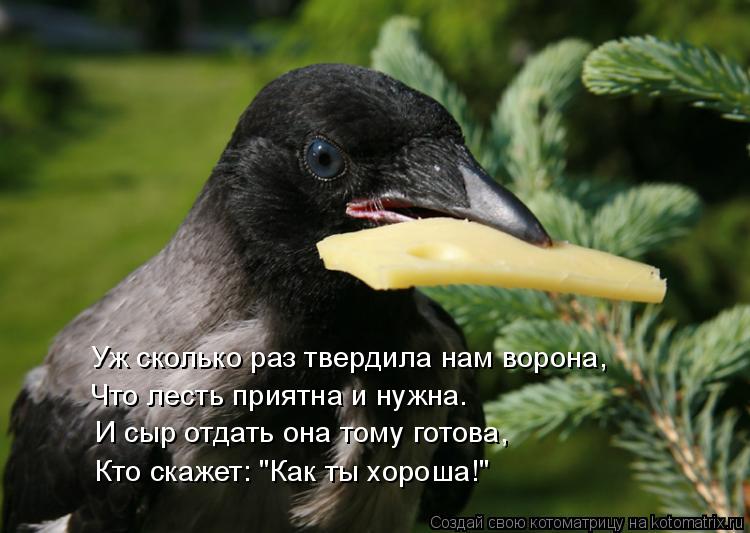 Уж сколько раз твердила нам ворона, И сыр отдать она тому готова, Кто скажет: "Как ты хороша!" Что ле... Котоматрица: Уж сколько раз твердила нам ворона, И сыр отдать она тому готова, Кто скажет: "Как ты хороша!" Что лесть приятна и нужна.
