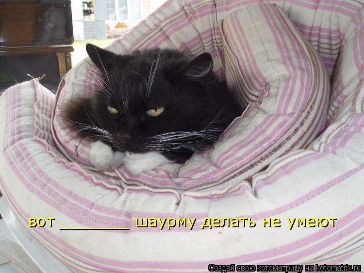 вот _______ шаурму делать не умеют... Котоматрица: вот _______ шаурму делать не умеют