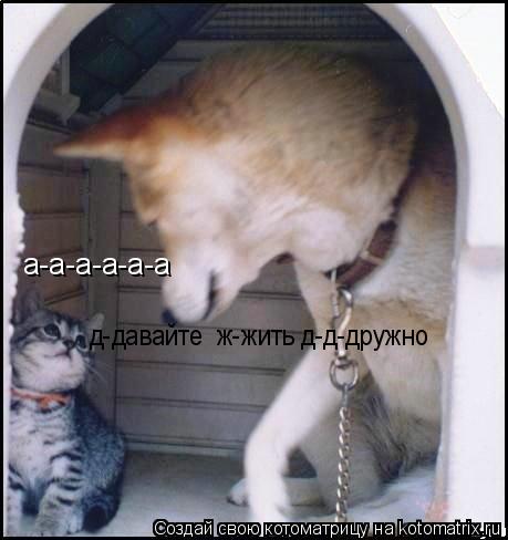 а-а-а-а-а-а д- давайте жить д-давайте ж-жить д-д-дружно... Котоматрица: а-а-а-а-а-а д- давайте жить д-давайте ж-жить д-д-дружно