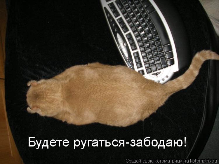 Будете ругаться-забодаю!... Котоматрица: Будете ругаться-забодаю!