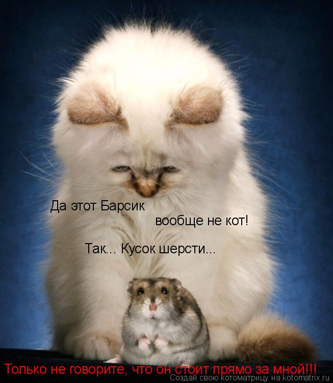 Да этот Барсик вообще не кот! Так... Кусок шерсти... Только не говорите, что он стоит прямо за мной!... Котоматрица: Да этот Барсик вообще не кот! Так... Кусок шерсти... Только не говорите, что он стоит прямо за мной!!!