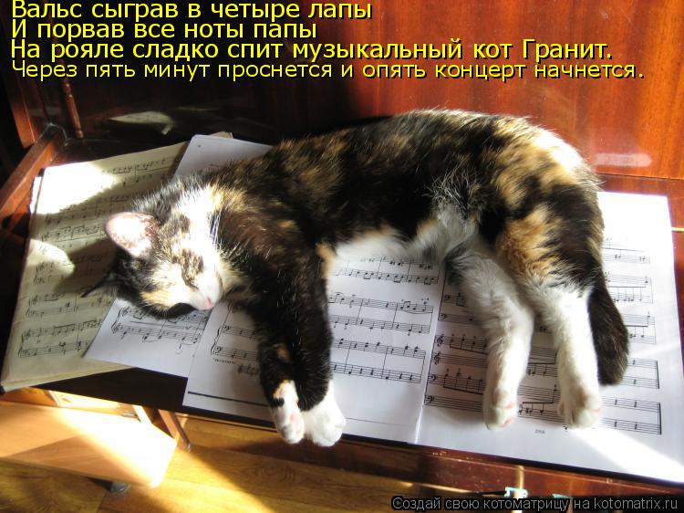 Вальс сыграв в четыре лапы И порвав все ноты папы На рояле сладко спит музыкальный кот Гранит . Чере... Котоматрица: Вальс сыграв в четыре лапы И порвав все ноты папы На рояле сладко спит музыкальный кот Гранит . Через пять минут проснется и опять концерт н