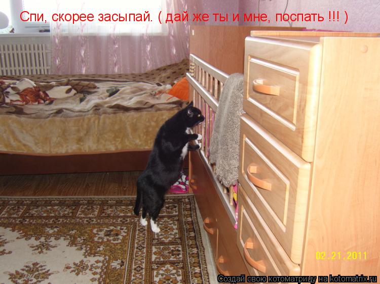 Спи, скорее засыпай. ( дай же ты и мне, поспать !!! )... Котоматрица: Спи, скорее засыпай. ( дай же ты и мне, поспать !!! )