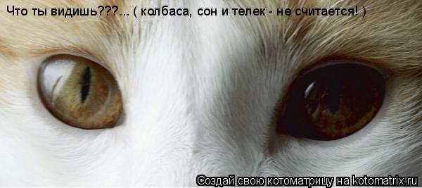 Что ты видишь???... ( колбаса, сон и телек - не считается! )... Котоматрица: Что ты видишь???... ( колбаса, сон и телек - не считается! )