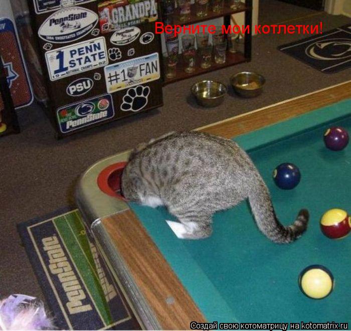 Верните мои котлетки!... Котоматрица: Верните мои котлетки!