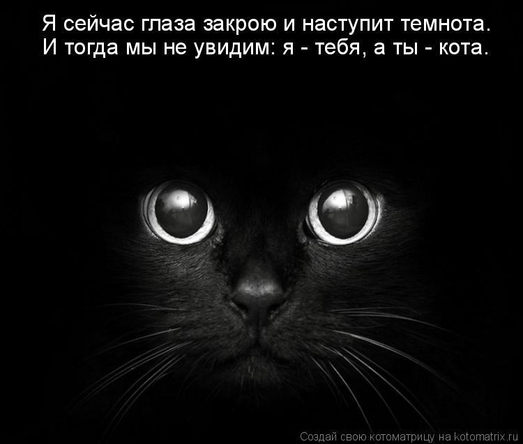 Котоматрица: Я сейчас глаза закрою и наступит темнота. И тогда мы не увидим: я - тебя, а ты - кота.