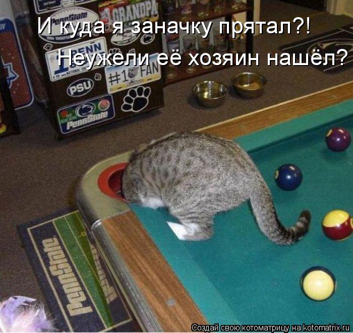 И куда я заначку прятал?! Неужели её хозяин нашёл?... Котоматрица: И куда я заначку прятал?! Неужели её хозяин нашёл?