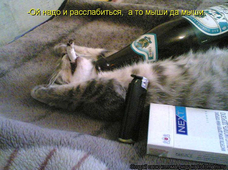 -Ой надо и расслабиться, а то мыши да мыши.... Котоматрица: -Ой надо и расслабиться, а то мыши да мыши.