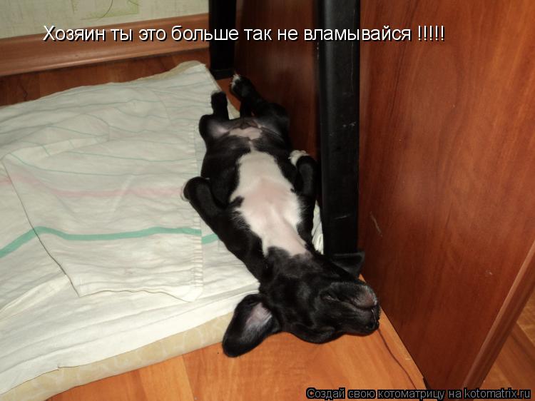 Хозяин ты это больше так не вламывайся !!!!!... Котоматрица: Хозяин ты это больше так не вламывайся !!!!!